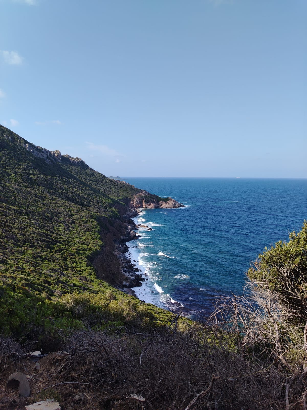 Corsica